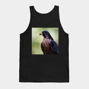 Peregrine Falcon Tank Top